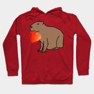 Cute Valentines Day Capybara with Red Heart Hoodie